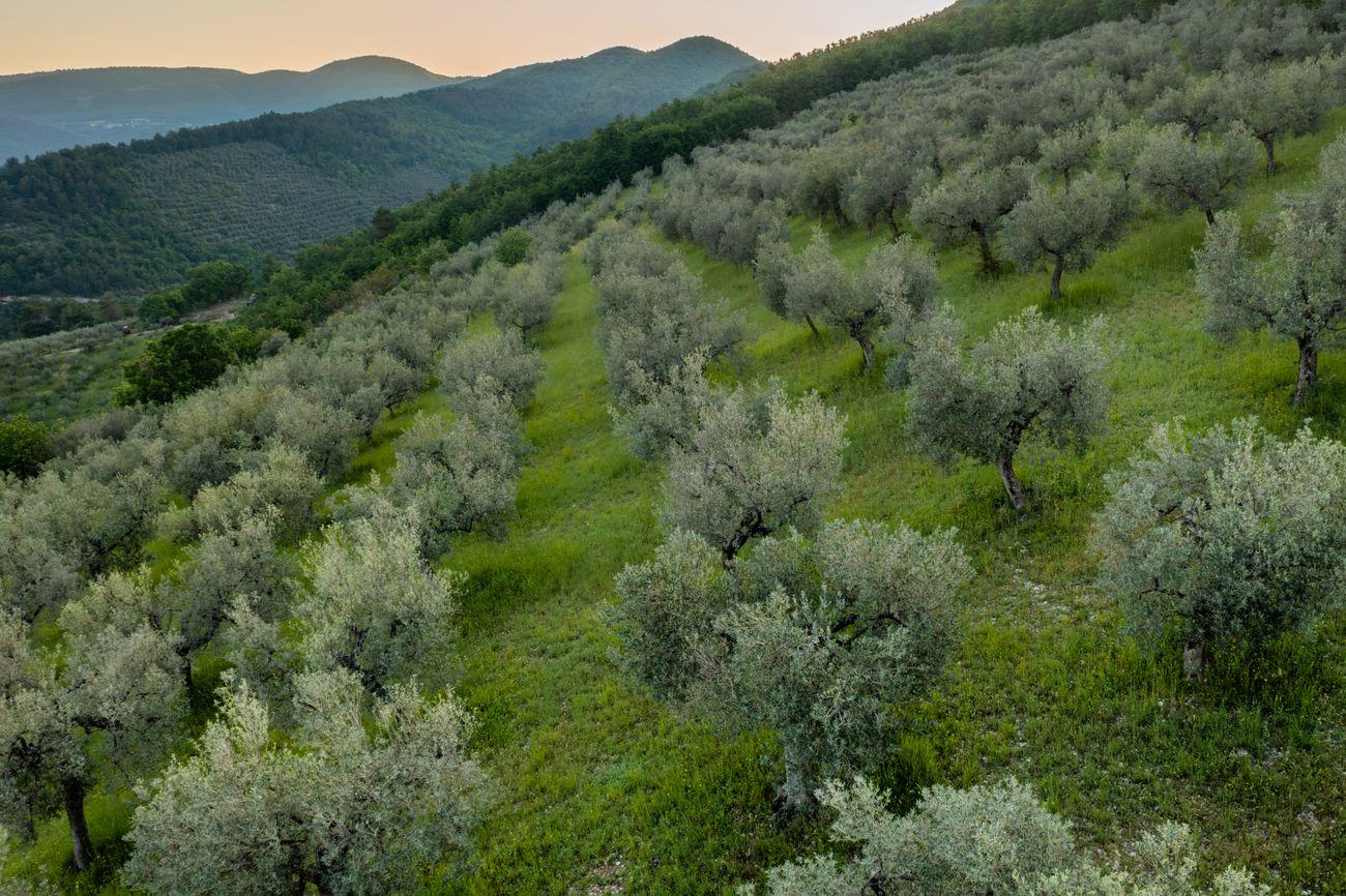 SAPIO Umbria green heart of Italy