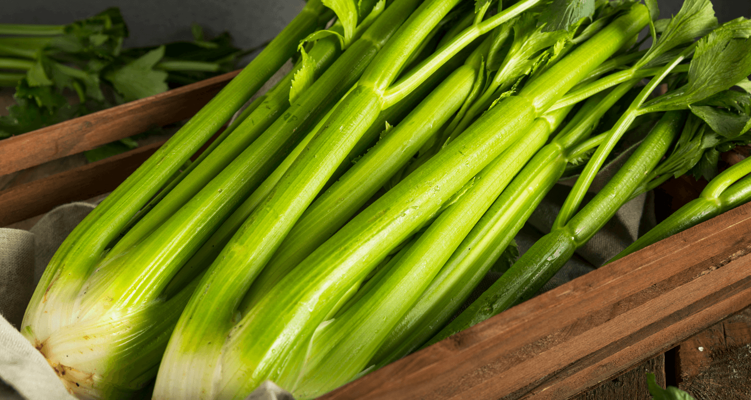 FEAST - Celery