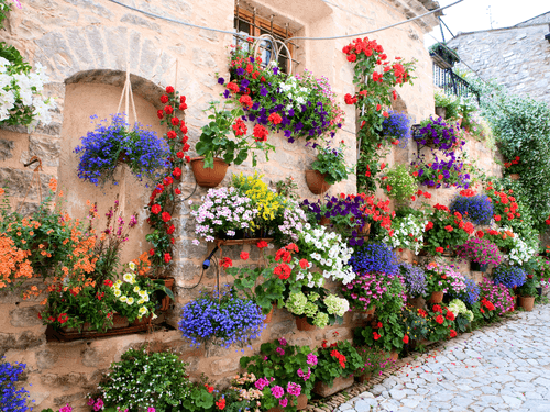 FEAST - Spello Borgo Fiorito