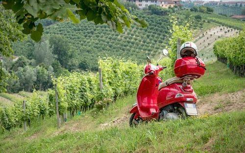 FEAST vespa tour Barolo