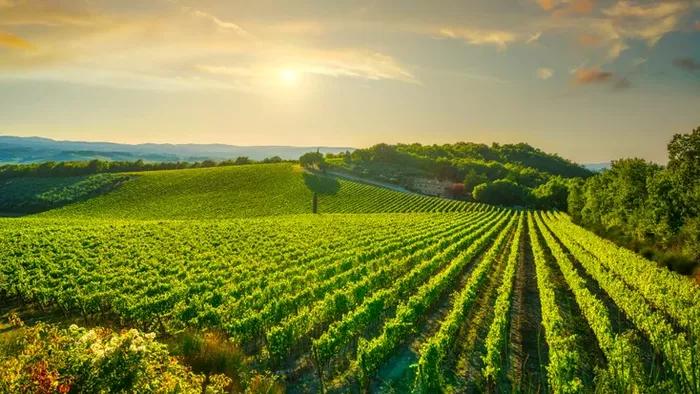 FEAST - Tuscany