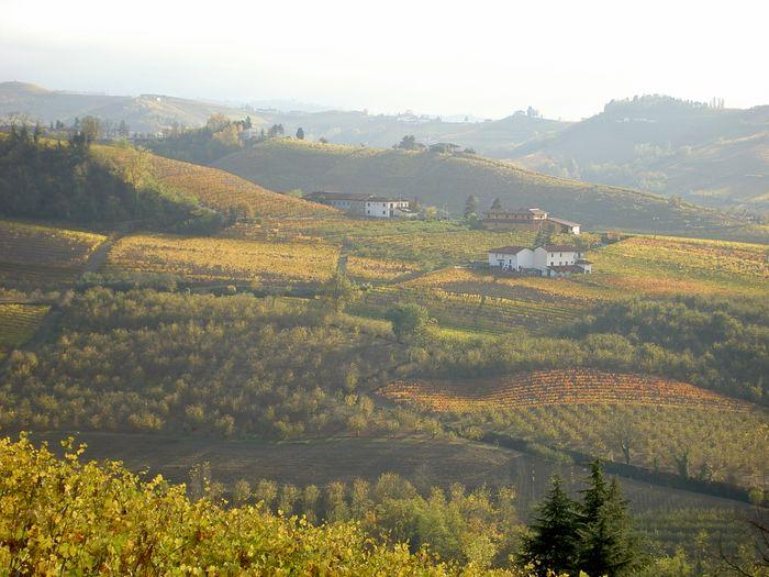 Piedmont, Cooking, Sapio 