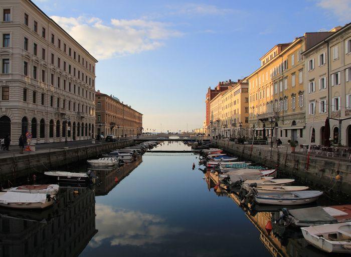 Sapio Trieste 