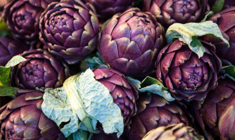 FEAST violet artichoke Venice